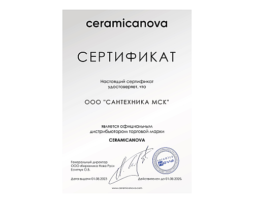 Накладная раковина Ceramica Nova MODO CN2004