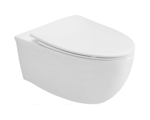 Сиденье с крышкой PP микролифт Arrow PG006-ZPA белый