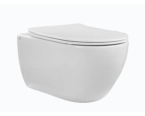 Безободковый подвесной унитаз Charus Scandenborg EWC700-125W сиденьем микролифт