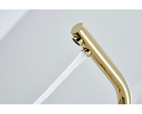 Смеситель для кухни Paulmark Essen Es213011-G