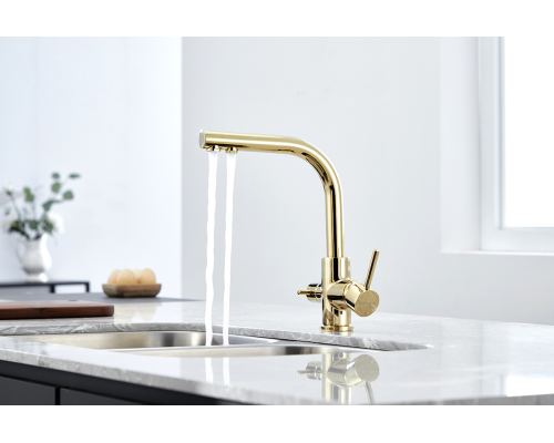 Смеситель для кухни Paulmark Essen Es213011-G