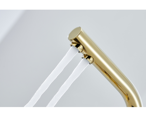 Смеситель для кухни Paulmark Essen Es213011-G