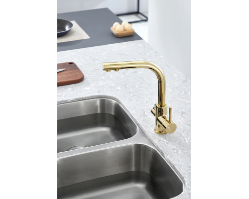 Смеситель для кухни Paulmark Essen Es213011-G