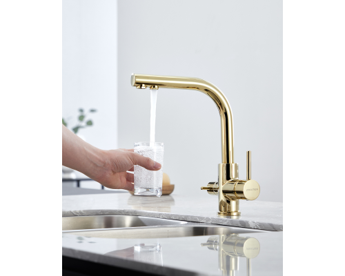 Смеситель для кухни Paulmark Essen Es213011-G