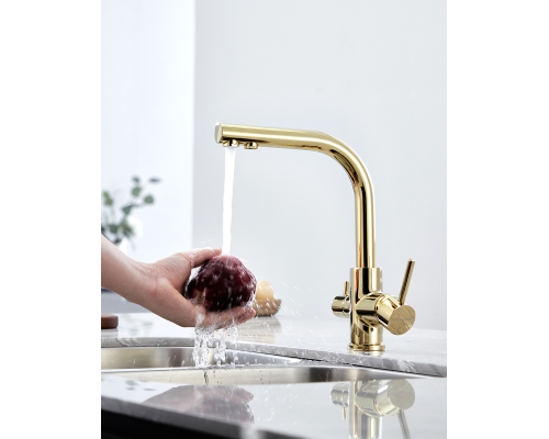 Смеситель для кухни Paulmark Essen Es213011-G