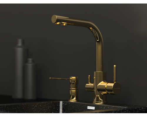 Смеситель для кухни Paulmark Essen Es213011-G