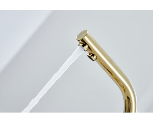 Смеситель для кухни Paulmark Essen Es213011-G