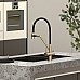 Смеситель для кухни SANCOS Dora SC4003BG с подключением фильтра для воды, браш золото