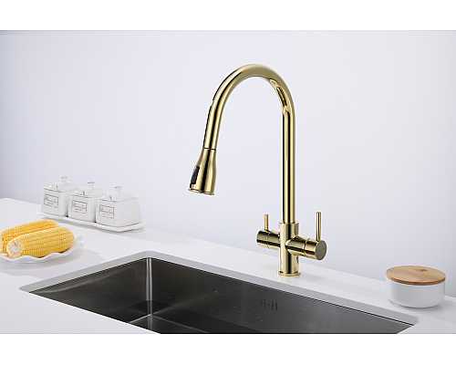 Смеситель для кухни Paulmark Lange La214212-G Золото Смеситель для кухни Paulmark Lange La214212-G Золото