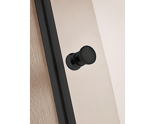 Душевая дверь Cezares Eco 80 ECO-O-B-1-80-C-NERO профиль Черный матовый стекло прозрачное