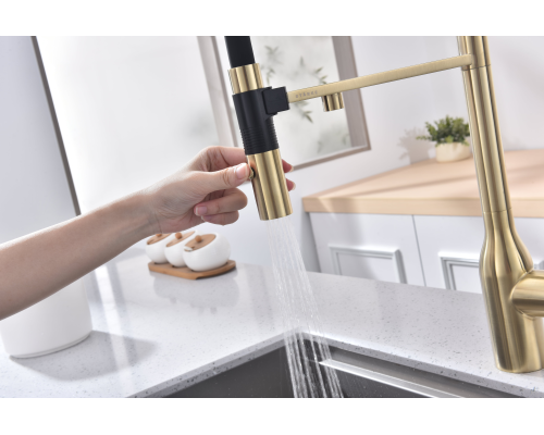 Смеситель для кухни Paulmark Magneto One Светлое брашированное золото