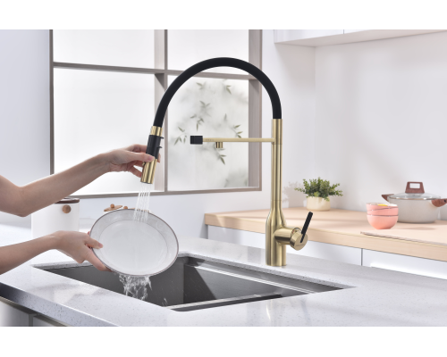 Смеситель для кухни Paulmark Magneto One Светлое брашированное золото