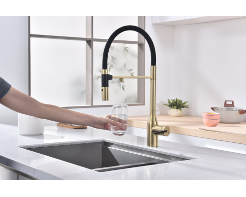 Смеситель для кухни Paulmark Magneto One Светлое брашированное золото