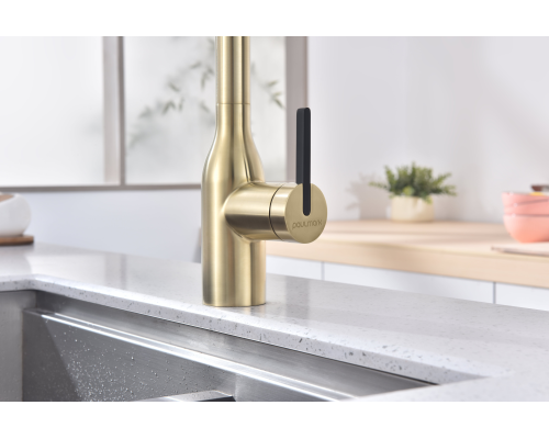 Смеситель для кухни Paulmark Magneto One Светлое брашированное золото