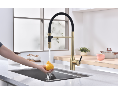 Смеситель для кухни Paulmark Magneto One Светлое брашированное золото