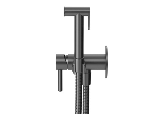 Система для биде скрытого монтажа WHITECROSS Y SYSYBI2GM оружейная сталь