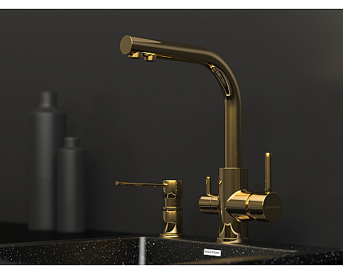 Дозатор для кухни Paulmark Kraft D003-G