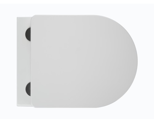 Безободковый подвесной унитаз Charus Berta Tornado EWC700-120WT сиденьем микролифт