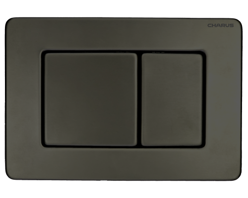 Кнопка смыва Charus Robusto FP.310.GNM.05 оружейная сталь