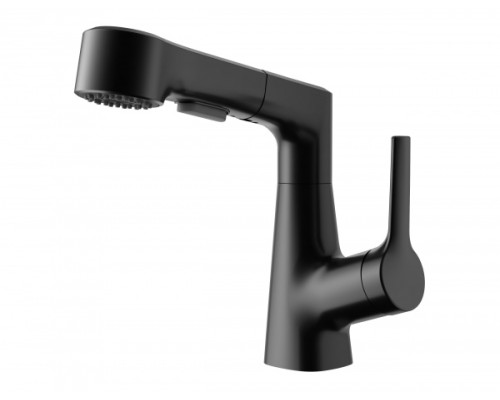 Смеситель для раковины с выдвижным изливом Wonzon&Woghand, Черный матовый