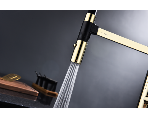 Смеситель для кухни Paulmark Leader Le214101-G Золото