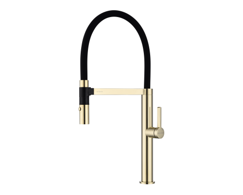 Смеситель для кухни Paulmark Leader Le214101-G Золото