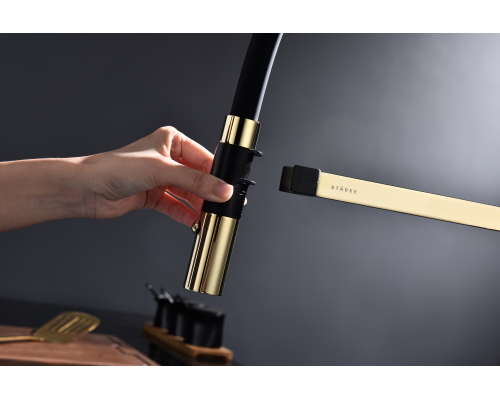 Смеситель для кухни Paulmark Leader Le214101-G Золото