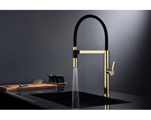 Смеситель для кухни Paulmark Leader Le214101-G Золото