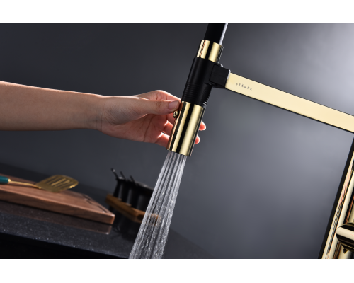 Смеситель для кухни Paulmark Leader Le214101-G Золото