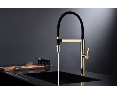 Смеситель для кухни Paulmark Leader Le214101-G Золото