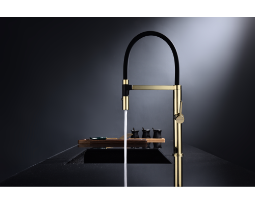 Смеситель для кухни Paulmark Leader Le214101-G Золото