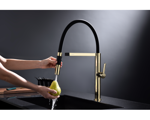 Смеситель для кухни Paulmark Leader Le214101-G Золото