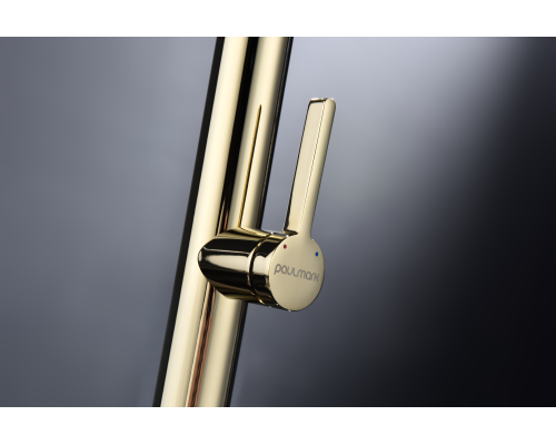 Смеситель для кухни Paulmark Leader Le214101-G Золото