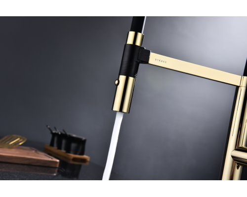 Смеситель для кухни Paulmark Leader Le214101-G Золото