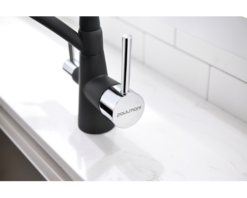 Смеситель для кухни Paulmark Sigen Si213111-401