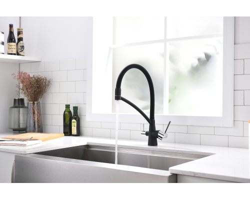 Смеситель для кухни Paulmark Sigen Si213111-401