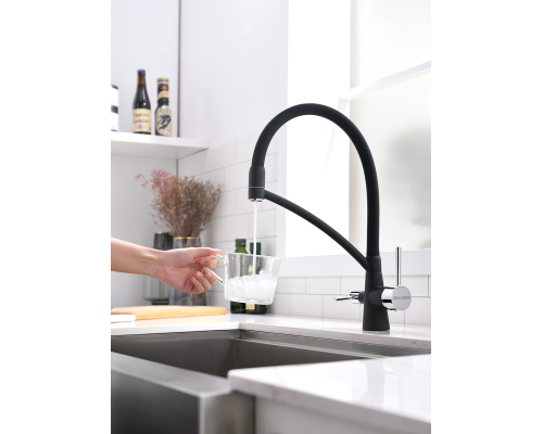 Смеситель для кухни Paulmark Sigen Si213111-401