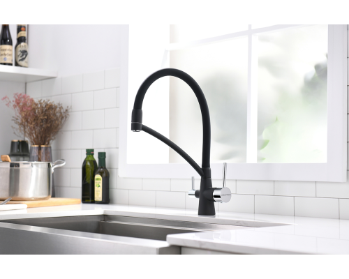 Смеситель для кухни Paulmark Sigen Si213111-401