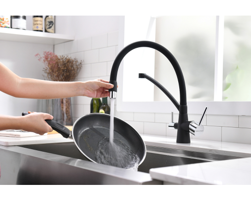 Смеситель для кухни Paulmark Sigen Si213111-401