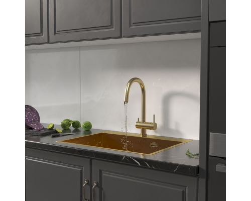 Кухонная мойка Reflexion Iseo RX2265GD брашированное золото