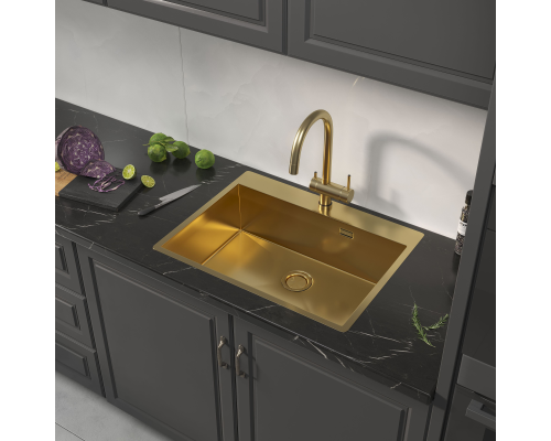 Кухонная мойка Reflexion Iseo RX2265GD брашированное золото