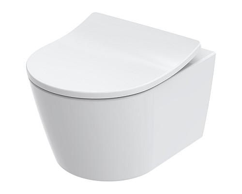 Сиденье быстросъемное для унитаза Toto RP TC613G с микролифтом