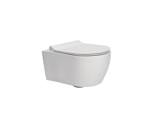 Безободковый подвесной унитаз Арк Лайн (Arc Line) 49 cm с крышкой Рома (Roma)