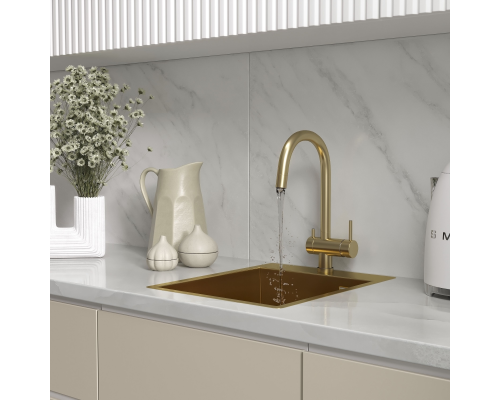 Кухонная мойка Reflexion Iseo RX2240GD брашированное золото