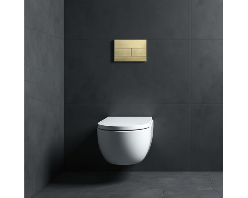 Кнопка смыва для инсталляции Wonzon&Woghand, Брашированное золото WW-IB235-BG