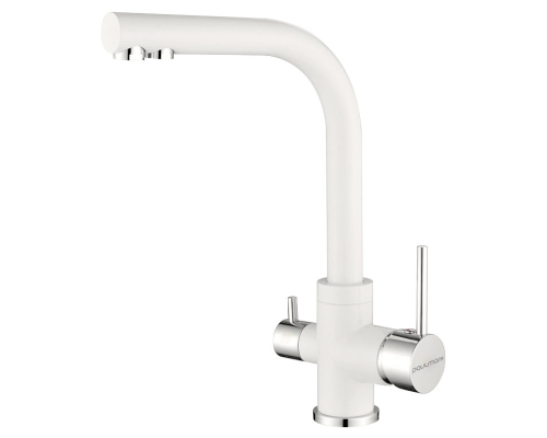 Смеситель для кухни Paulmark Essen Es213011-431