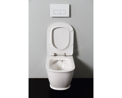 Чаша унитаза BelBagno