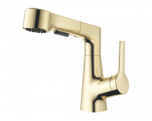 Смеситель для раковины с выдвижным изливом Wonzon&Woghand, Брашированное золото