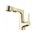 Смеситель для раковины с выдвижным изливом Wonzon&Woghand, Брашированное золото