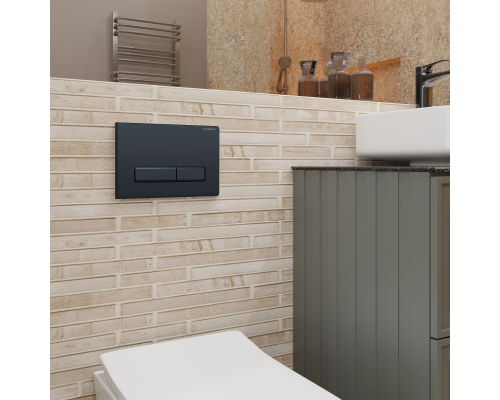 Кнопка смыва Charus Raiden FP.321.DW.01 черный матовый